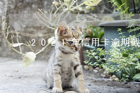 2021年信用卡逾期截图 2021年信用卡逾期截图