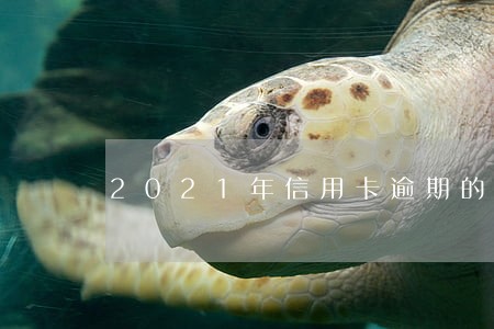 2021年信用卡逾期的多么 2021年信用卡逾期的多么
