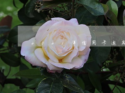 2021年信用卡逾期规模