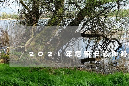 2021年信用卡逾期趋势