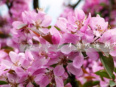 2021年借呗逾期一周的后果 2021年借呗逾期一周的后果