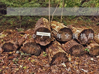 2021年全国信用卡逾期 2021年全国信用卡逾期