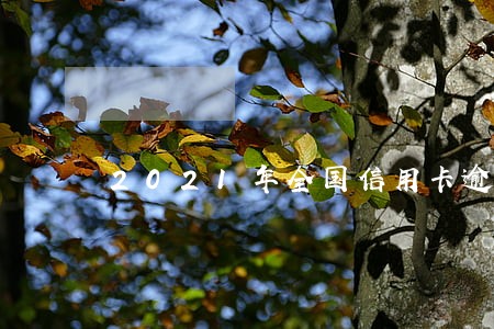 2021年全国信用卡逾期率 2021年全国信用卡逾期率