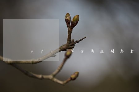 2021年全国逾期总金额 2021年全国逾期总金额