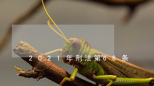 2021年刑法第68条 2021年刑法第68条