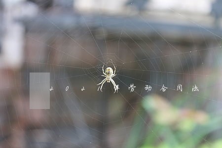 2021年劳动合同法 2021年劳动合同法