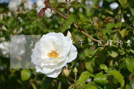 2021年千山区律师费收费标准 2021年千山区律师费收费标准