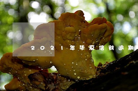 2021年华夏信财逾期冻结名单 2021年华夏信财逾期冻结名单