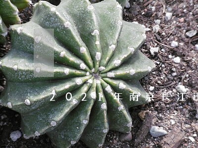 2021年南京长江违法捕鱼下载 2021年南京长江违法捕鱼下载