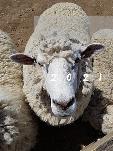2021年如东县律师费收费标准 2021年如东县律师费收费标准