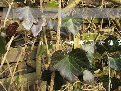 2021年学习法律文书的总结 2021年学习法律文书的总结