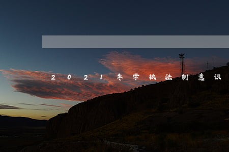 2021年学校法制意识工作总结 2021年学校法制意识工作总结
