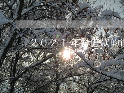 2021年对借款的逾期利息 2021年对借款的逾期利息