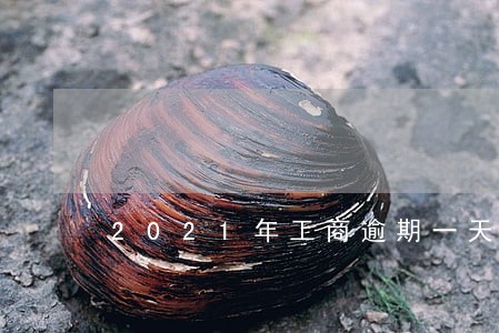 2021年工商逾期一天怎么办 2021年工商逾期一天怎么办