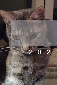 2021年康乐县律师费收费标准 2021年康乐县律师费收费标准