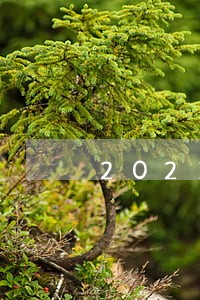 2021年张家口律师费收费标准 2021年张家口律师费收费标准