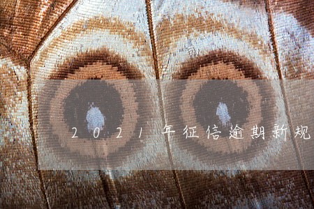 2021年征信逾期新规定 2021年征信逾期新规定