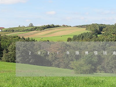 2021年微博借钱逾期 2021年微博借钱逾期