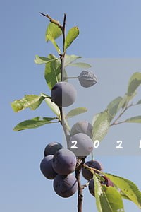 2021年微粒贷逾期催收 2021年微粒贷逾期催收