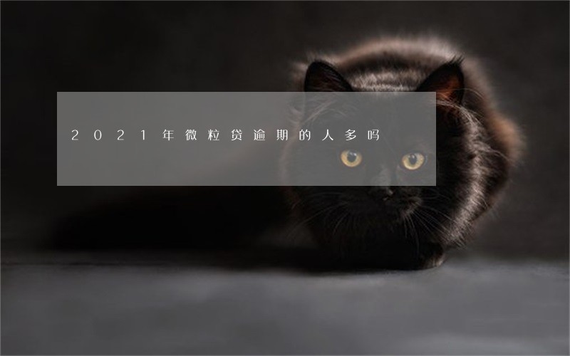 2021年微粒贷逾期的人多吗 2021年微粒贷逾期的人多吗