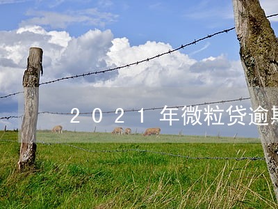 2021年微粒贷逾期立案 2021年微粒贷逾期立案