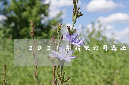 2021年我被公司违法辞退 2021年我被公司违法辞退