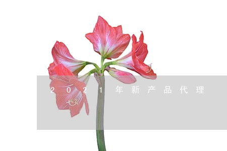 2021年新产品代理 2021年新产品代理