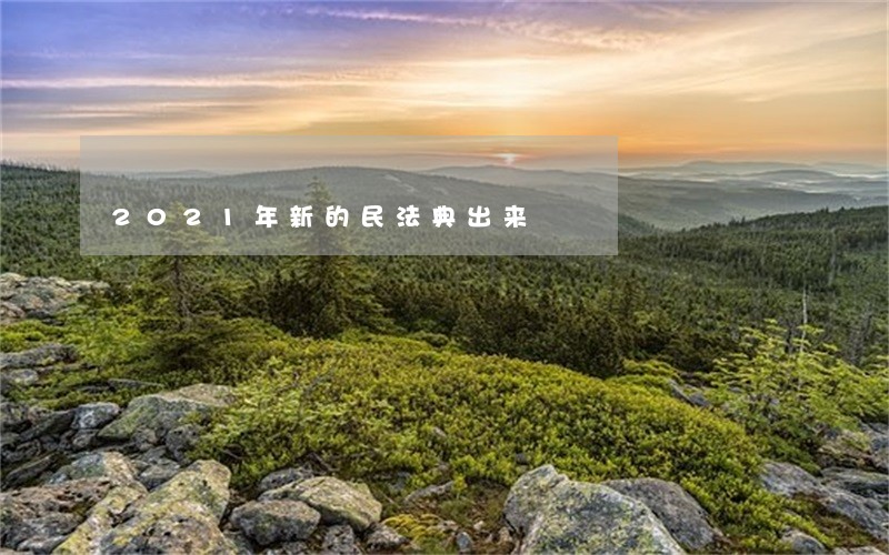 2021年新的民法典出来 2021年新的民法典出来