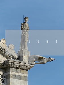 2021年暑期宪法学习心得 2021年暑期宪法学习心得