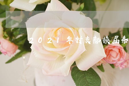2021年村支部换届条例