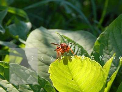 2021年枣庄律师收费标准 2021年枣庄律师收费标准