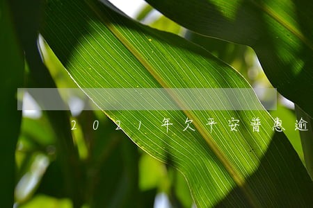 2021年欠平安普惠逾期后果