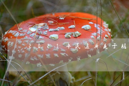 2021年民法典关于赡养老人 2021年民法典关于赡养老人
