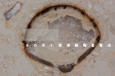 2021年法制安全笔记新版 2021年法制安全笔记新版