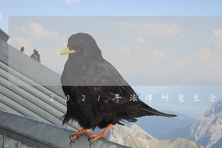 2021年法律研究生分会高吗 2021年法律研究生分会高吗