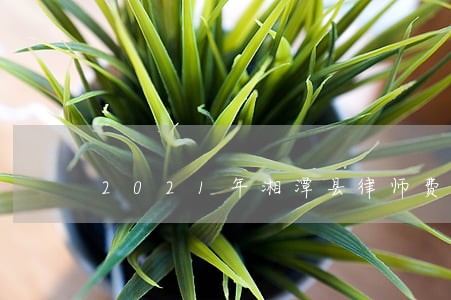 2021年湘潭县律师费收费标准 2021年湘潭县律师费收费标准