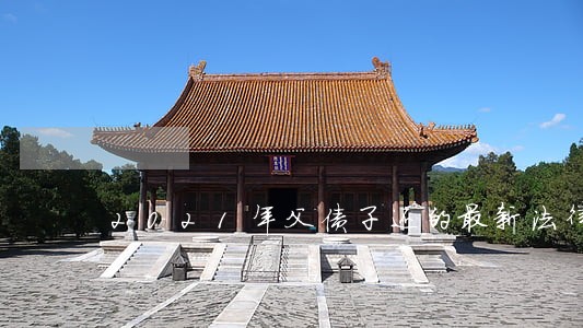 2021年父债子还的最新法律 2021年父债子还的最新法律