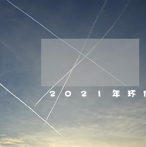 2021年环保税逾期申报流程 2021年环保税逾期申报流程