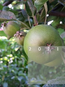 2021年环翠区律师费收费标准 2021年环翠区律师费收费标准