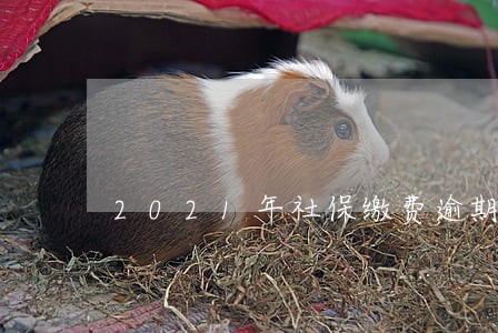 2021年社保缴费逾期 2021年社保缴费逾期