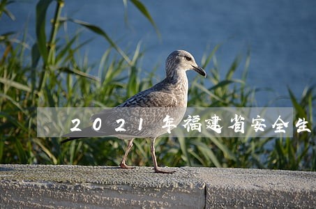 2021年福建省安全生产条例 2021年福建省安全生产条例