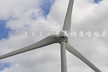 2021年离婚有啥规定吗 2021年离婚有啥规定吗