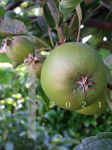 2021年网贷全部逾期 2021年网贷全部逾期