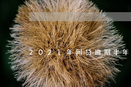 2021年网贷逾期半年会怎么样 2021年网贷逾期半年会怎么样