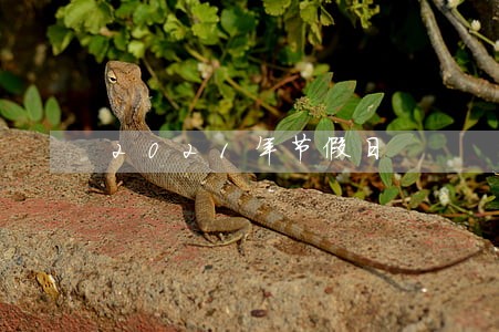 2021年节假日 2021年节假日