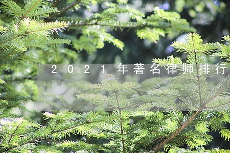 2021年著名律师排行榜 2021年著名律师排行榜