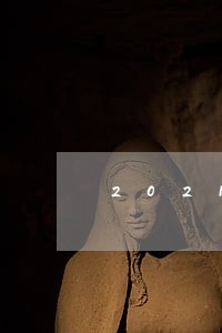 2021年蚂蚁借呗逾期人数
