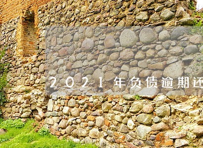 2021年负债逾期还款政策 2021年负债逾期还款政策