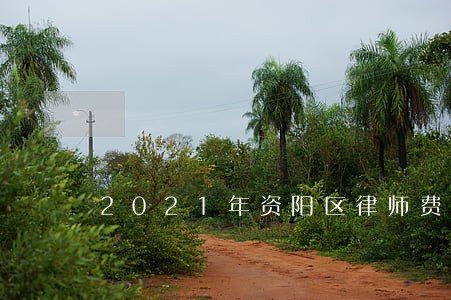 2021年资阳区律师费收费标准 2021年资阳区律师费收费标准