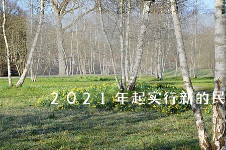 2021年起实行新的民法典 2021年起实行新的民法典